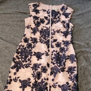 DR collection by Donna Ricco size 10 pink and blue floral dress